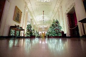 White House Christmas Design - Washington