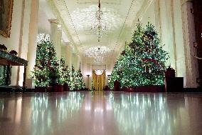 White House Christmas Design - Washington