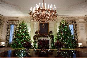 White House Christmas Design - Washington