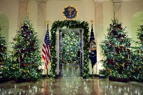 White House Christmas Design - Washington