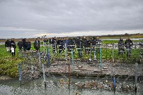 Mathieu Lefevre On A Ministerial Visit To Merville-Franceville - France