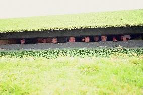 Mathieu Lefevre On A Ministerial Visit To Merville-Franceville - France