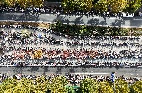 Office Workers Electric Bicycles