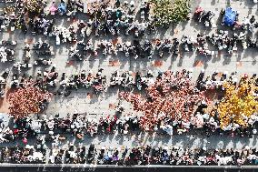 Office Workers Electric Bicycles