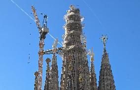 Illustration - Sagrada Familia Basilica - Barcelona