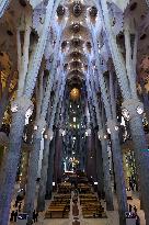 Illustration - Sagrada Familia Basilica - Barcelona