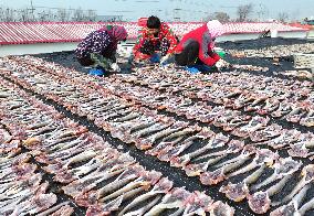 Locals Airing Fish - China
