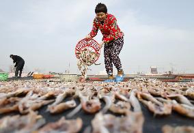 Locals Airing Fish - China