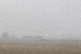 An event summarizing the first year of activity of the Reservistsâ Fund