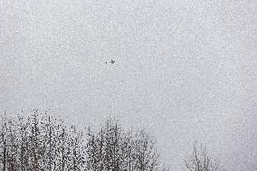 An event summarizing the first year of activity of the Reservistsâ Fund