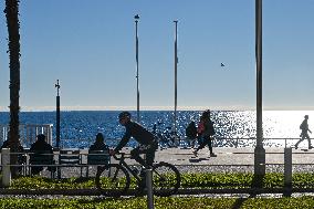 Illustration - South of France During Christmas Season
