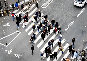The Pedestrian Crossing Illustration - Paris