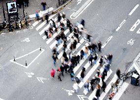 The Pedestrian Crossing Illustration - Paris