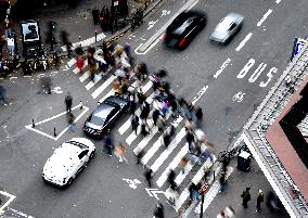 The Pedestrian Crossing Illustration - Paris