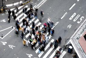 The Pedestrian Crossing Illustration - Paris