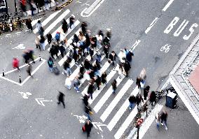 The Pedestrian Crossing Illustration - Paris