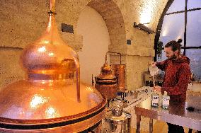 Illustration - Passages Of Paris