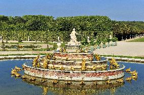 Illustration - Versailles