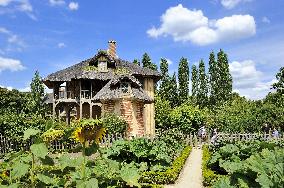 Illustration - Versailles