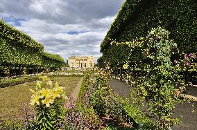 Illustration - Versailles