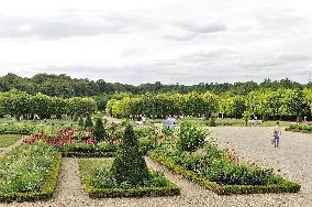 Illustration - Versailles