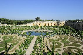 Illustration - Versailles