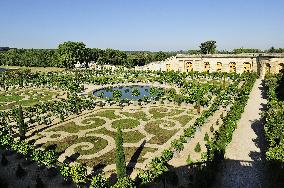 Illustration - Versailles