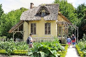 Illustration - Versailles