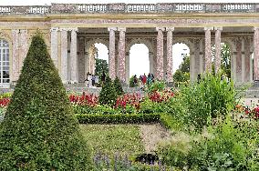 Illustration - Versailles