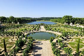 Illustration - Versailles