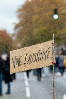 Demonstration Against Austerity - Toulouse