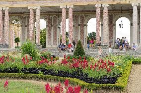 Illustration - Versailles