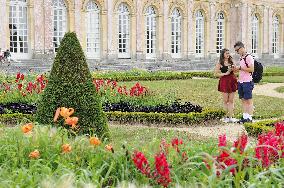 Illustration - Versailles