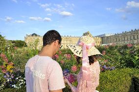 Illustration - Versailles