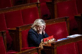 Debate on The Budget Bill for The 2025 Year - Paris