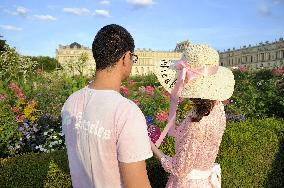 Illustration - Versailles