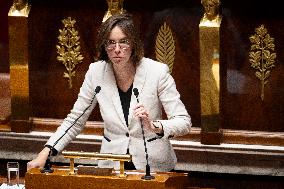 Debate on The Budget Bill for The 2025 Year - Paris