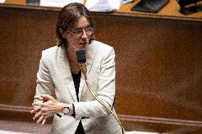 Debate on The Budget Bill for The 2025 Year - Paris