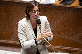 Debate on The Budget Bill for The 2025 Year - Paris