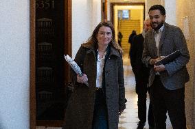 Hearing of Marine Tondelier at the National Assembly - Paris