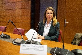 Hearing of Marine Tondelier at the National Assembly - Paris