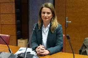 Hearing of Marine Tondelier at the National Assembly - Paris