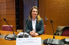 Hearing of Marine Tondelier at the National Assembly - Paris
