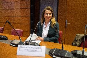 Hearing of Marine Tondelier at the National Assembly - Paris