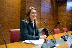 Hearing of Marine Tondelier at the National Assembly - Paris