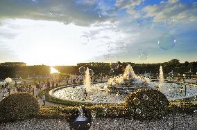 Illustration - Versailles