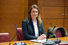 Hearing of Marine Tondelier at the National Assembly - Paris