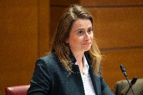 Hearing of Marine Tondelier at the National Assembly - Paris