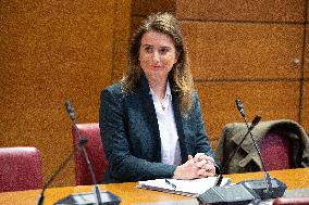 Hearing of Marine Tondelier at the National Assembly - Paris