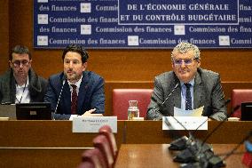 Hearing of Marine Tondelier at the National Assembly - Paris